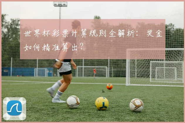 世界杯彩票计算规则全解析：奖金如何精准算出？