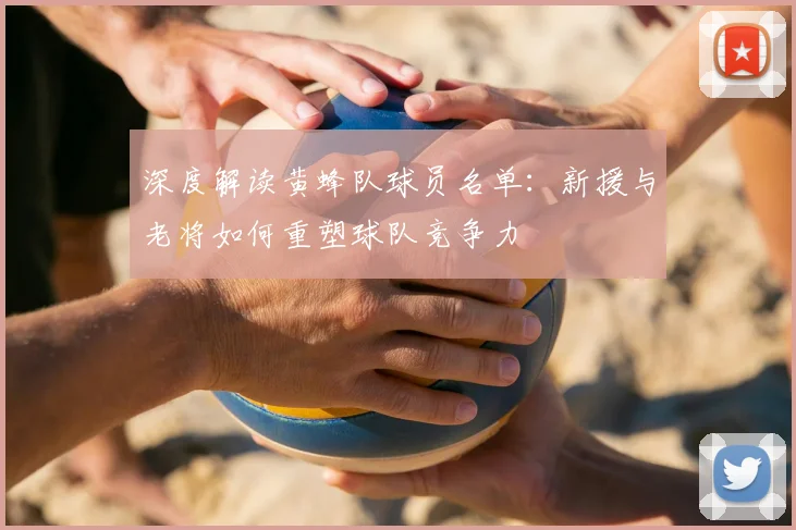 深度解读黄蜂队球员名单：新援与老将如何重塑球队竞争力