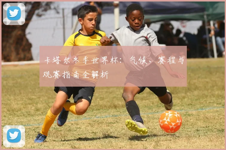 卡塔尔冬季世界杯：气候、赛程与观赛指南全解析