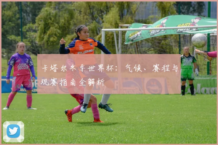 卡塔尔冬季世界杯：气候、赛程与观赛指南全解析