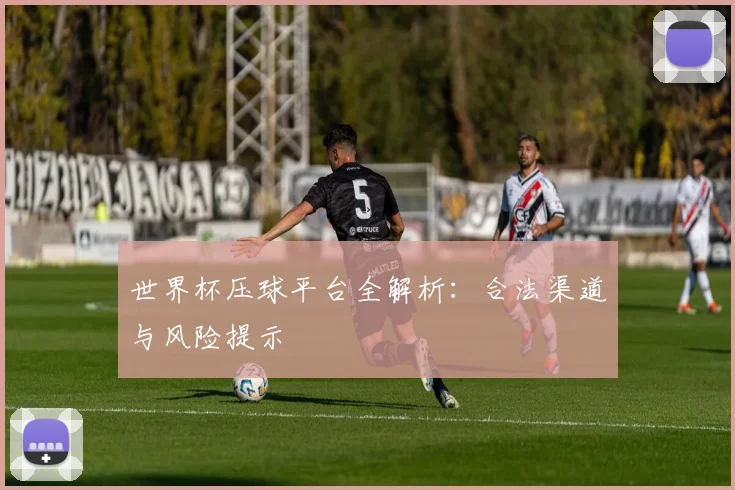 世界杯压球平台全解析：合法渠道与风险提示