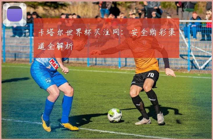 卡塔尔世界杯买注网：安全购彩渠道全解析