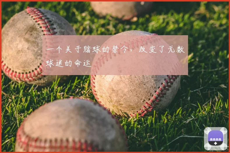 一个关于赌球的禁令,改变了无数球迷的命运