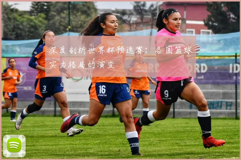 深度剖析世界杯预选赛：各国篮球实力格局的演变