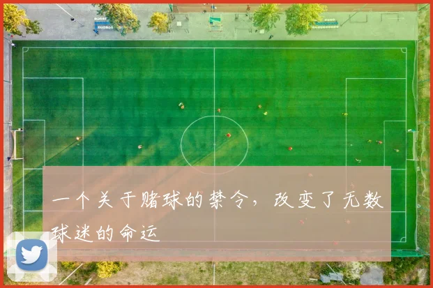 一个关于赌球的禁令,改变了无数球迷的命运