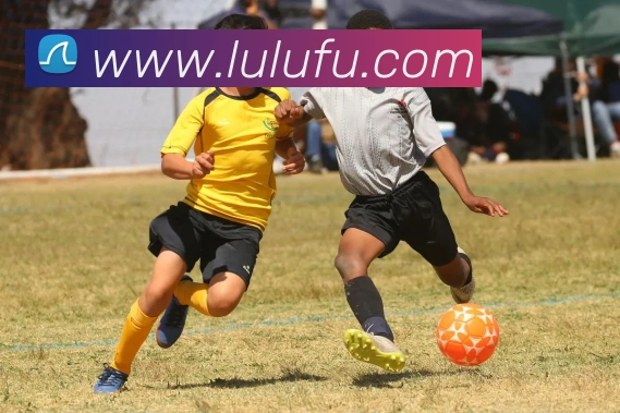 开云手机在线官网登录平台生态图