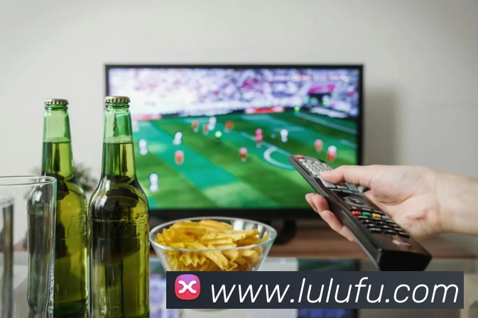 世界杯彩票计算规则全解析：奖金如何精准算出？