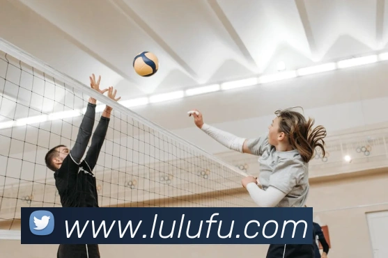 开云手机在线官网登录APP 封面图